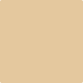 1101 Fennel Seed