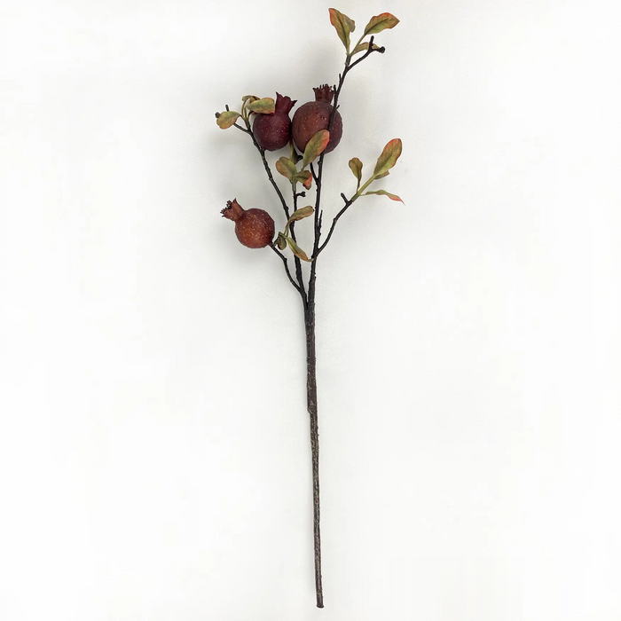 #2 Burnished Pomegranate Branch Garnet Box/12