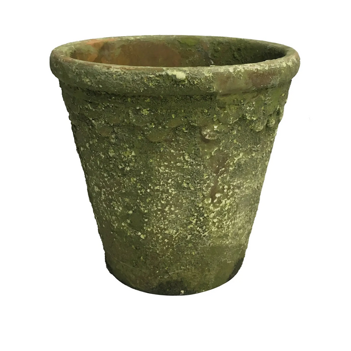 Aged Garden Pot #6 Box/8