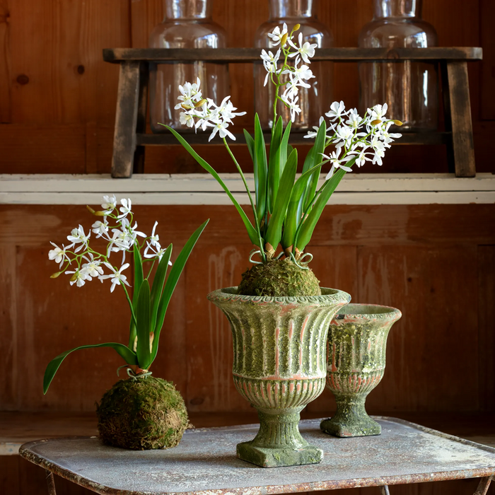 Aged Garden Urn Large