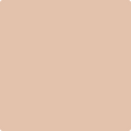 Shop the paint color 1205 Apricot Beige by Benjamin Moore at Anderson Paint Company in Ann Arbor, Michigan.