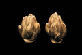 Artichoke Salt & Pepper Shakers, Set of 2
