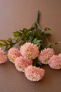 Artificial Light Pink Ball Dahlias Box/6 Bundles