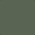 Shop the paint color CC-630 Backwoods by Benjamin Moore at Anderson Paint Company in Ann Arbor, Michigan.