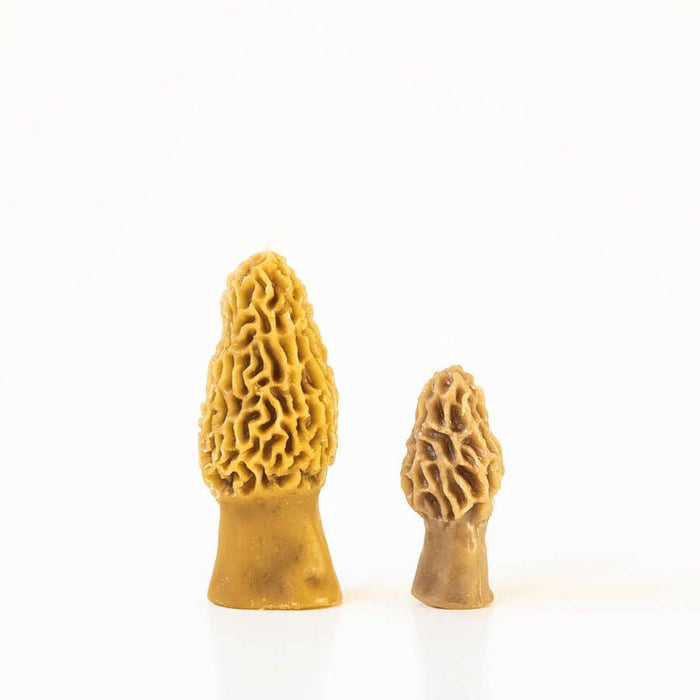 Beeswax Morel Mushroom Candle