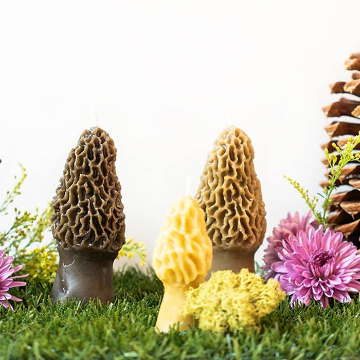 Beeswax Morel Mushroom Candle