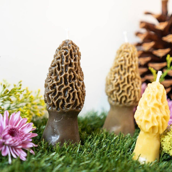 Beeswax Morel Mushroom Candle