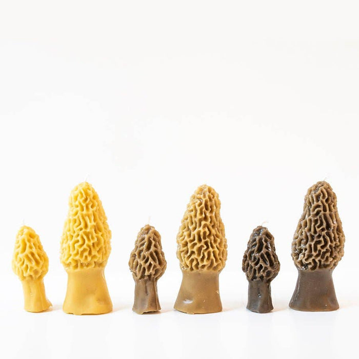 Beeswax Morel Mushroom Candle