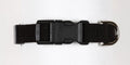 Black Quick Release Collar