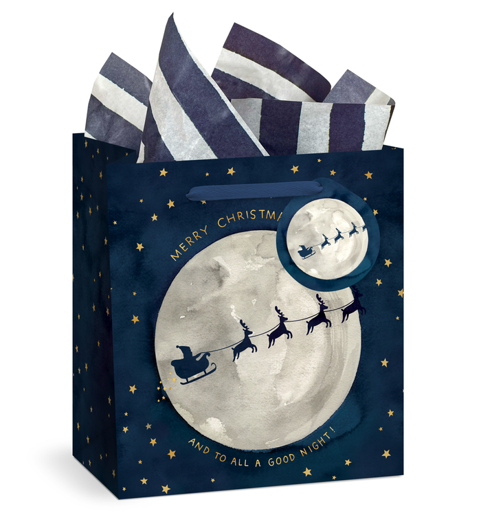 Blue Stripe Tissue Paper | Gift Wrap