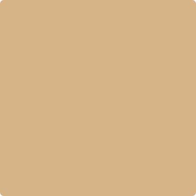 Shop the paint color CC-410 Boardwalk by Benjamin Moore at Anderson Paint Company in Ann Arbor, Michigan.