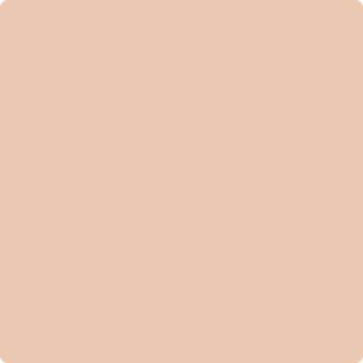 Shop the paint color 1214 Careless Whispers by Benjamin Moore at Anderson Paint Company in Ann Arbor, Michigan.