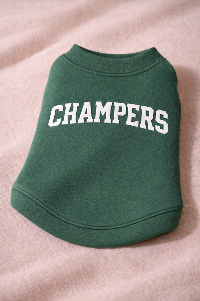 Champers Dog Sweater