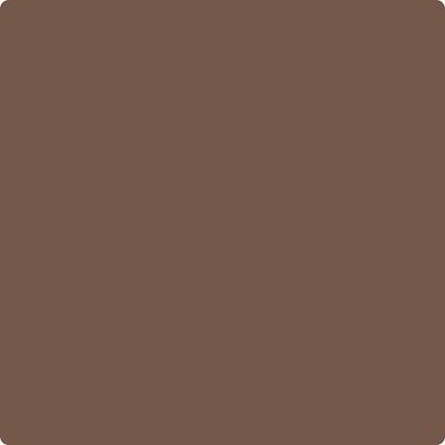 Shop the paint color CC-482 Chocolate Fondue by Benjamin Moore at Anderson Paint Company in Ann Arbor, Michigan.