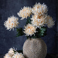 Chrysanthemum- Cream