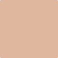 Shop the paint color 1215 Cinnamon Spice by Benjamin Moore at Anderson Paint Company in Ann Arbor, Michigan.