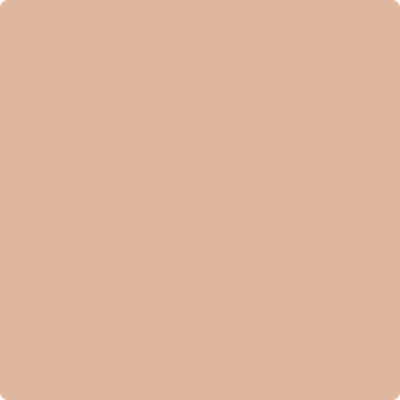 Shop the paint color 1215 Cinnamon Spice by Benjamin Moore at Anderson Paint Company in Ann Arbor, Michigan.