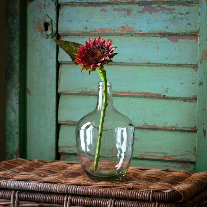 Cinnamon Sunflower Cutting Stem Box/12