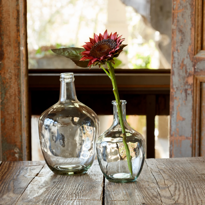 Cinnamon Sunflower Cutting Stem Box/12