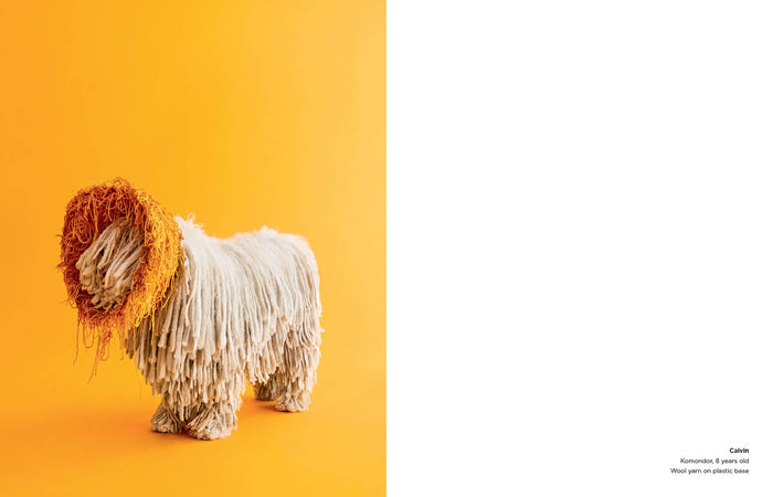 Cone of Shame by Winnie Au