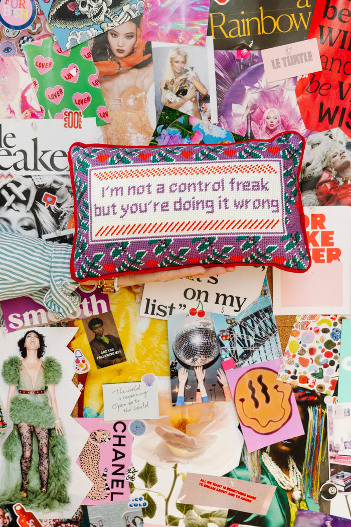 Control Freak Needlepoint Pillow