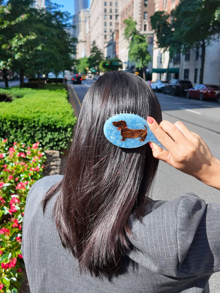 Dachshund Handbag Hero Brush