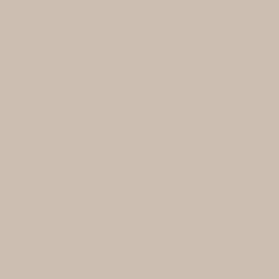Shop the paint color CC-456 Dufferin Terrace by Benjamin Moore at Anderson Paint Company in Ann Arbor, Michigan.