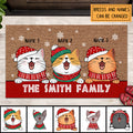 Family Name Doormat, Funny Welcome Mat, Cat Lover Gifts, Christmas Decorations, Personalized Pet Lovers Doormat