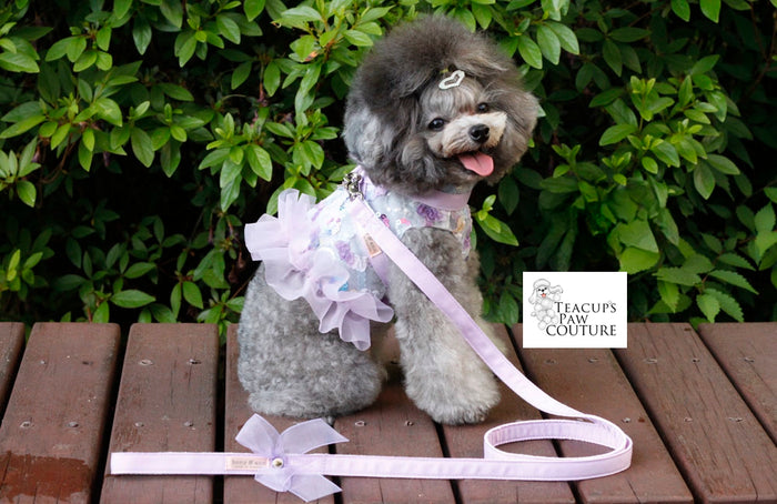 Flora Mesh Doggie Harness