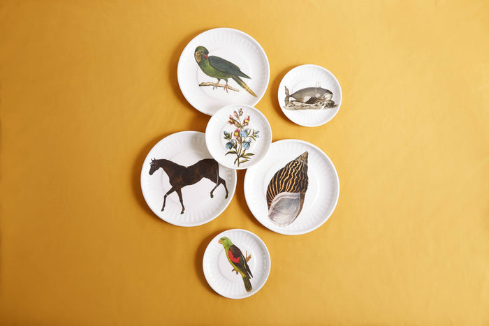 Floral Small Paper Plates Melamine