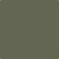 Shop the paint color CC-570 Forest Floor by Benjamin Moore at Anderson Paint Company in Ann Arbor, Michigan.