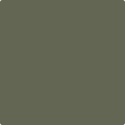 Shop the paint color CC-570 Forest Floor by Benjamin Moore at Anderson Paint Company in Ann Arbor, Michigan.