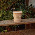 Fresco Limone Pot Small