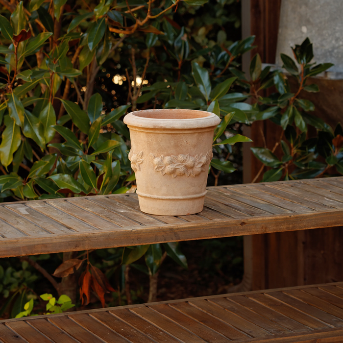 Fresco Limone Pot Small