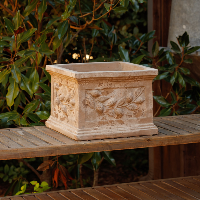 Fresco Limone Quadrata Pot Large