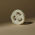 Gourd Exfoliating Loofah (plastic-free)