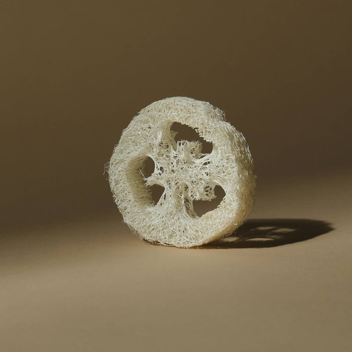 Gourd Exfoliating Loofah (plastic-free)