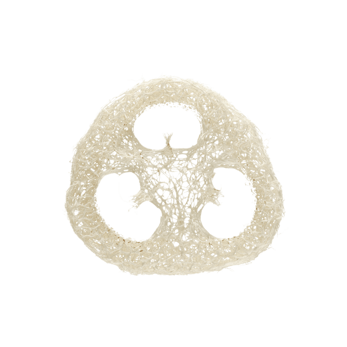 Gourd Exfoliating Loofah (plastic-free)