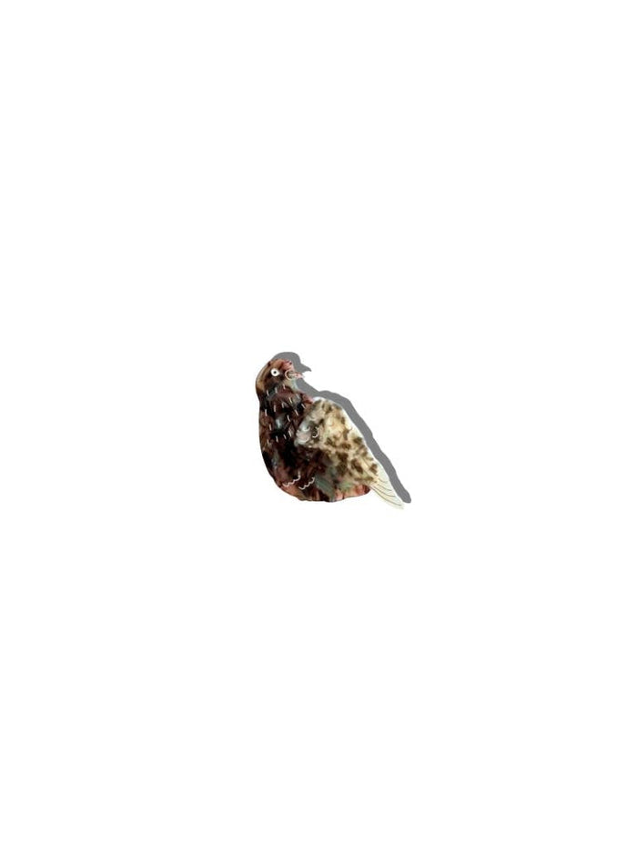 Hand-painted Pigeon Brooch Pin