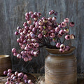 Hawthorn Berry