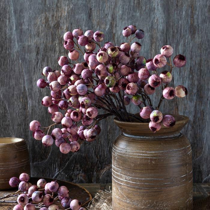 Hawthorn Berry