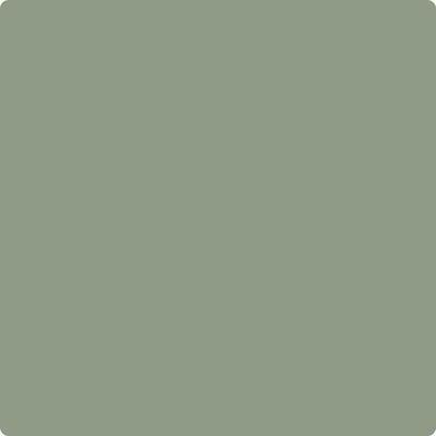 Shop the paint color CC-620 High Park by Benjamin Moore at Anderson Paint Company in Ann Arbor, Michigan.