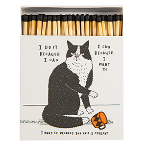 I Do It Because I Can Matches | Square - Safety Matches