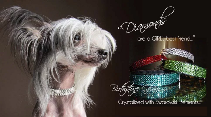 January Birthstone Collar - Siam