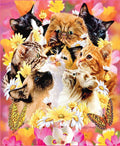 JPI - CATS - Blanket Queen