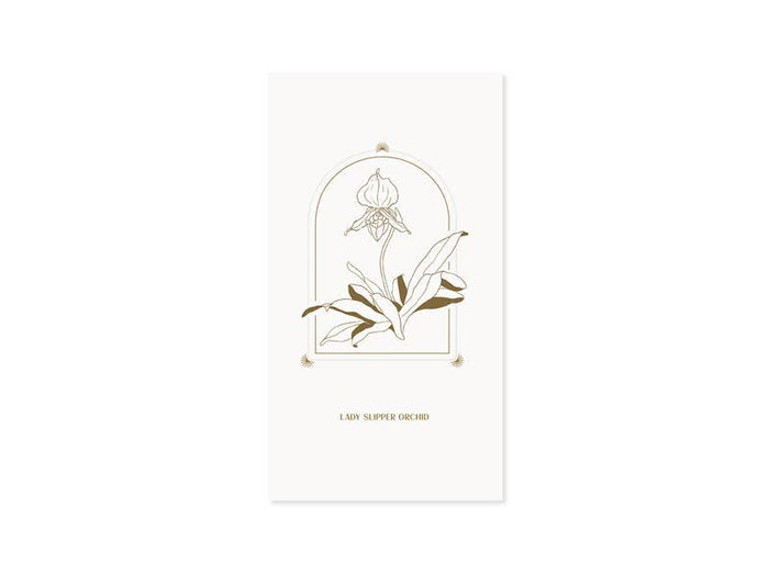 Lady Slipper Orchid Greeting Card