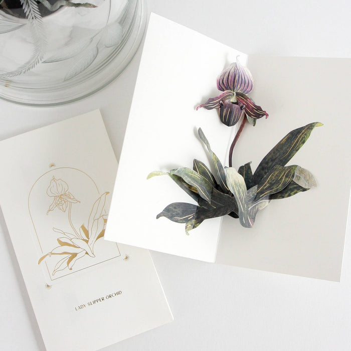 Lady Slipper Orchid Greeting Card