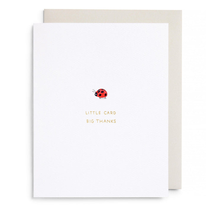 Little Card Big Thanks Greeting Card