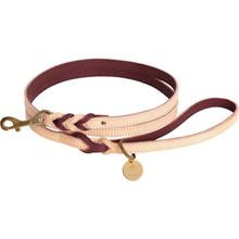 Luscious Bow Leash