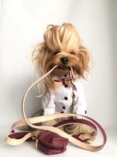 Luscious Bow Leash